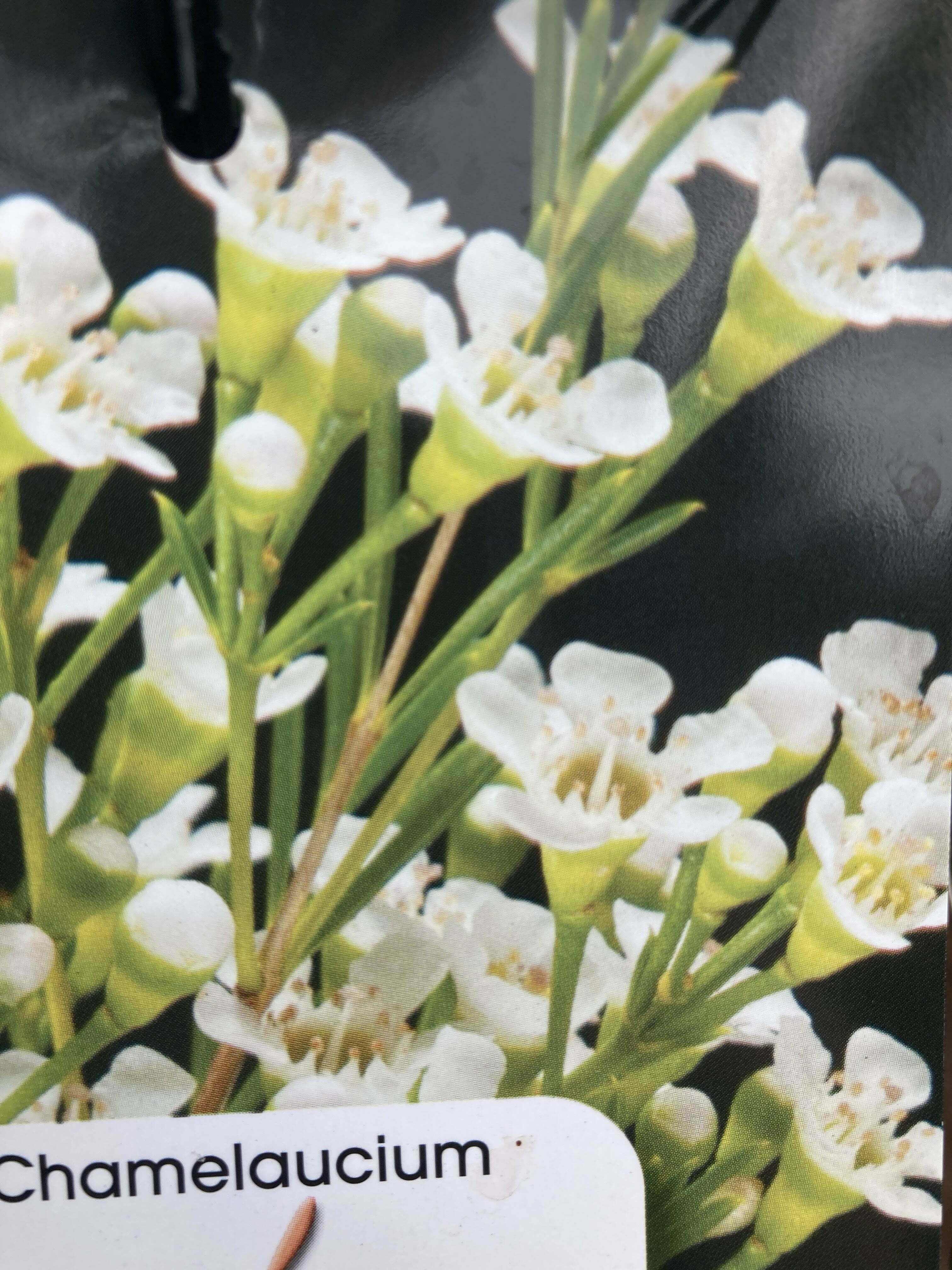 Shop – Page 12 – IndigiGrow