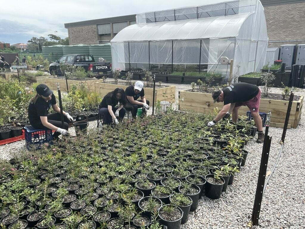 Indigenous Plant Nursery Indigigrow