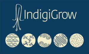 Indigigrow