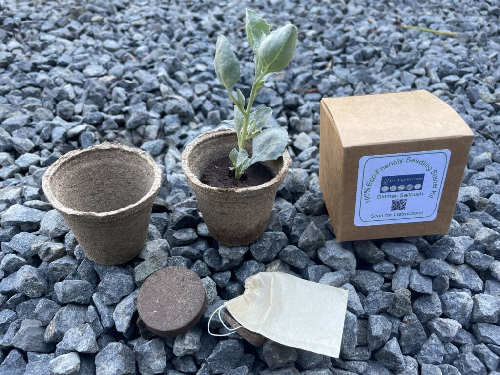 Eco-Friendly Seedling Starter Kit - Rosella