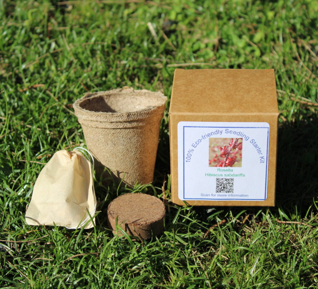 Eco-Friendly Seedling Starter Kit - Rosella