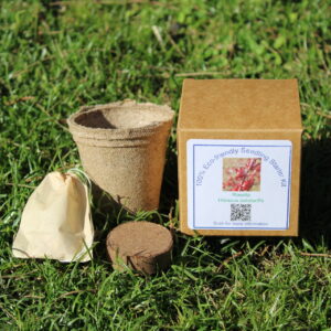 Eco-Friendly Seedling Starter Kit - Rosella