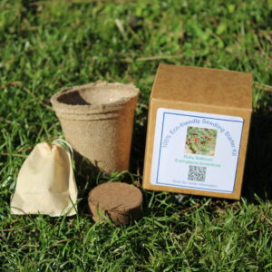 Eco-Friendly Seedling Starter Kit - Ruby Saltbush